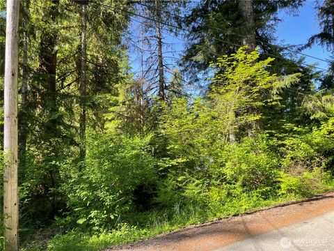 195 Paradise Drive Eatonville WA 98328