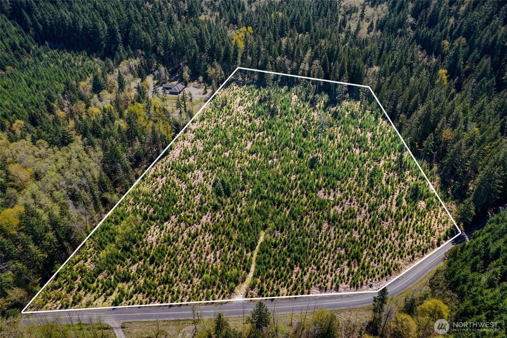 Photo of 0 Cline Street, Randle, WA 98377 (MLS # 2492323)