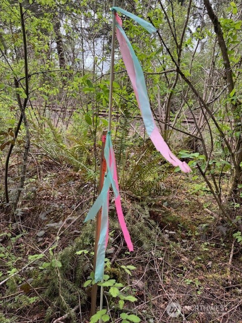 0 Clinton Road