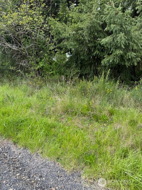0 Clinton Road