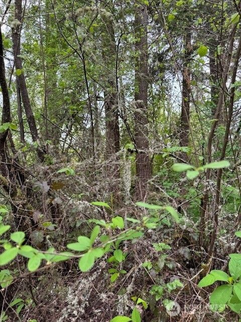 0 Clinton Road Chehalis WA 98532