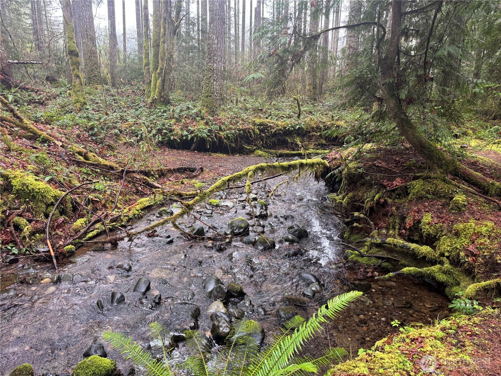 300 N Mount Jupiter Drive