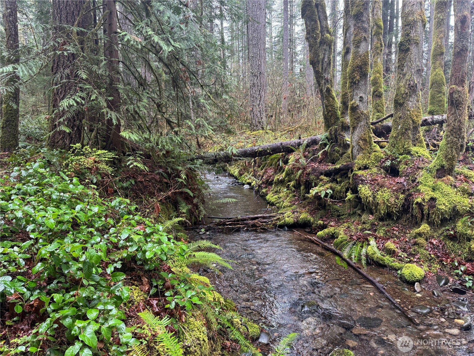 300 N Mount Jupiter Drive