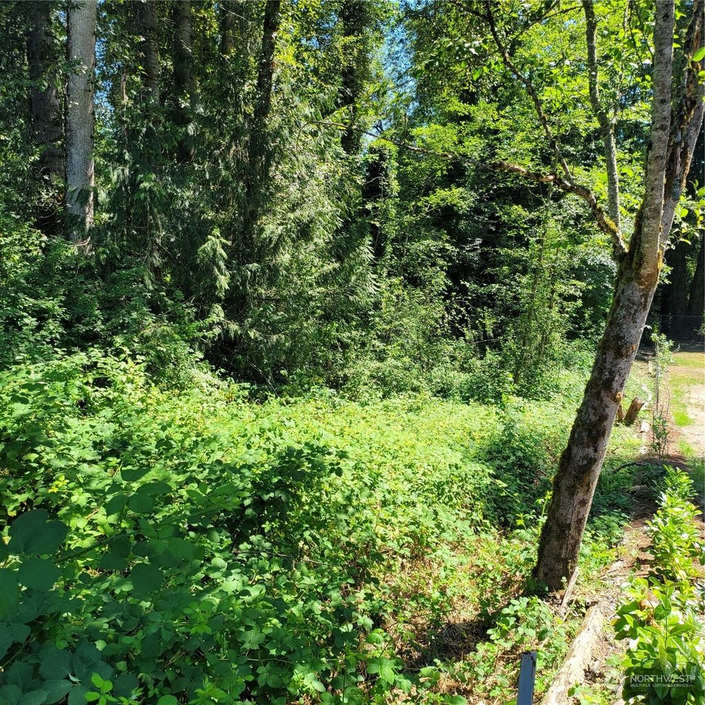 Photo of 18659 SE 216th Street, Renton, WA 98058 (MLS # 2145663)