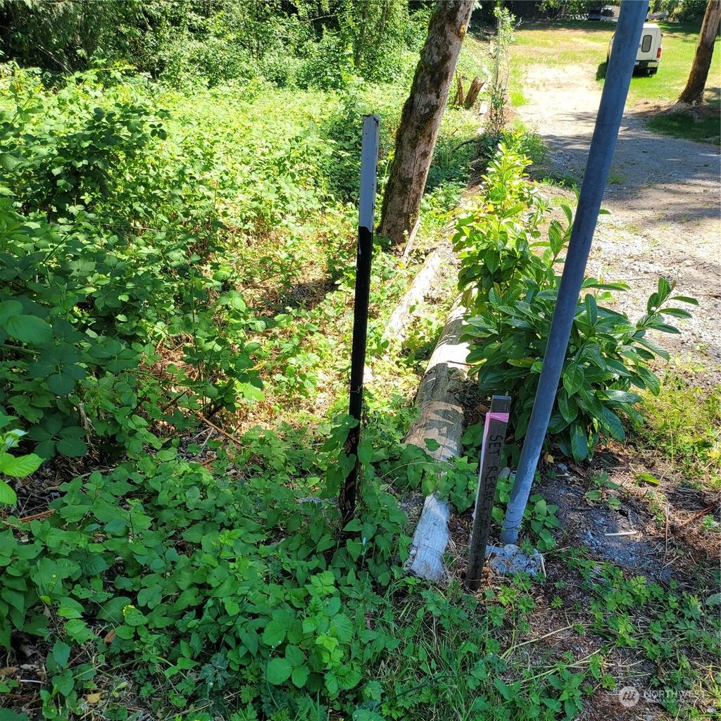 Photo of 18659 SE 216th Street, Renton, WA 98058 (MLS # 2145663)