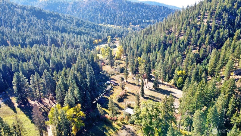81 Williams Creek