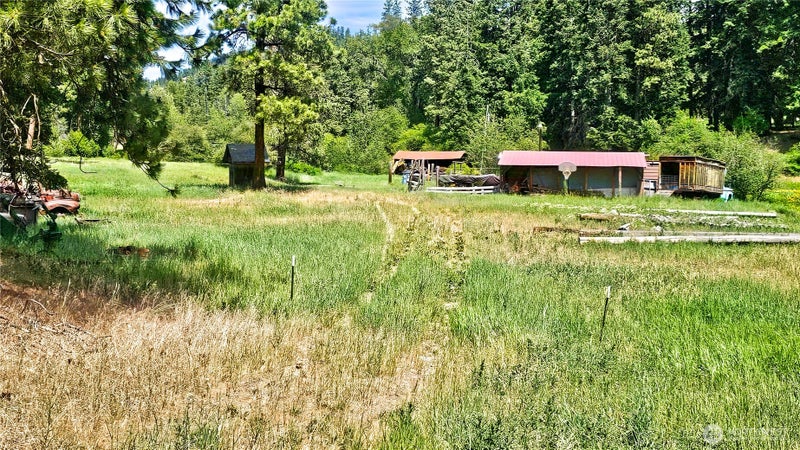 81 Williams Creek