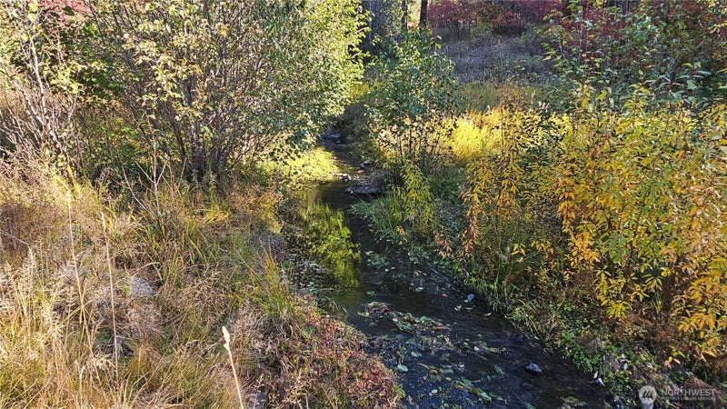 81 Williams Creek