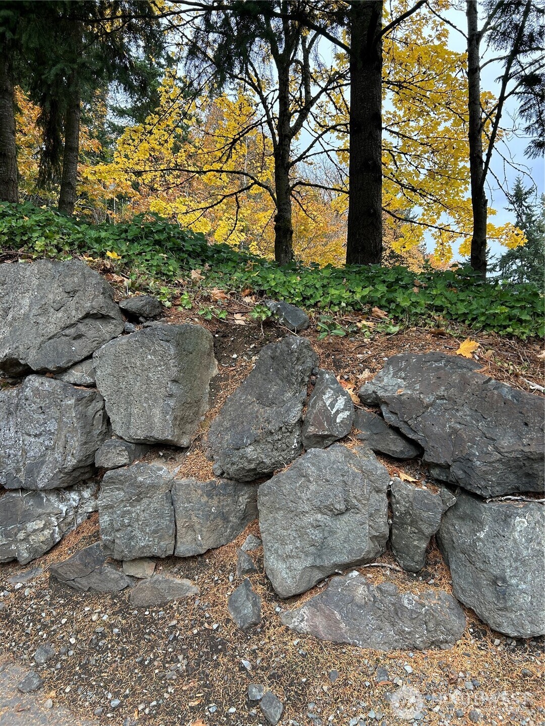 15344 62nd Avenue S A-1