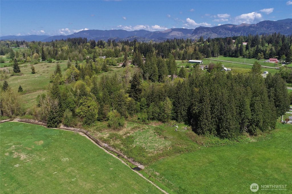 Photo of 26904 SE 400th Street, Enumclaw, WA 98022 (MLS # 2519785)