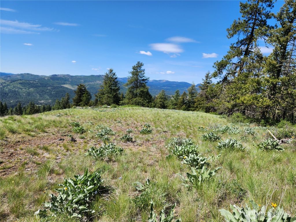 Photo of 0 E Knob Hill Road, Republic, WA 99166 (MLS # 2528071)