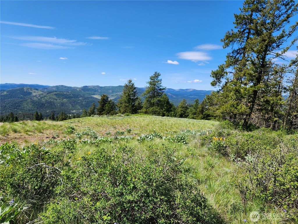 Photo of 0 E Knob Hill Road, Republic, WA 99166 (MLS # 2528071)