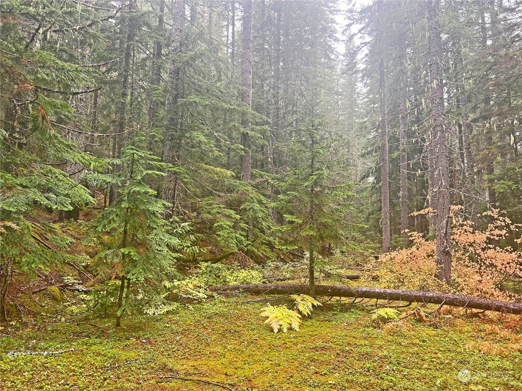 Photo of 0 XXX NF-906, Snoqualmie Pass, WA 98068 (MLS # 2013369)