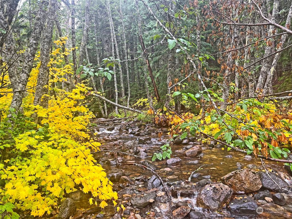 Photo of 0 XXX NF-906, Snoqualmie Pass, WA 98068 (MLS # 2013369)