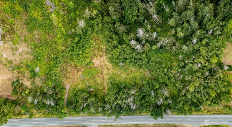 3100 Mount Baker Highway