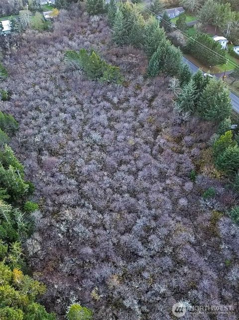 Photo of 0 Pacific (WA-103) Highway, Long Beach, WA 98631 (MLS # 2457656)