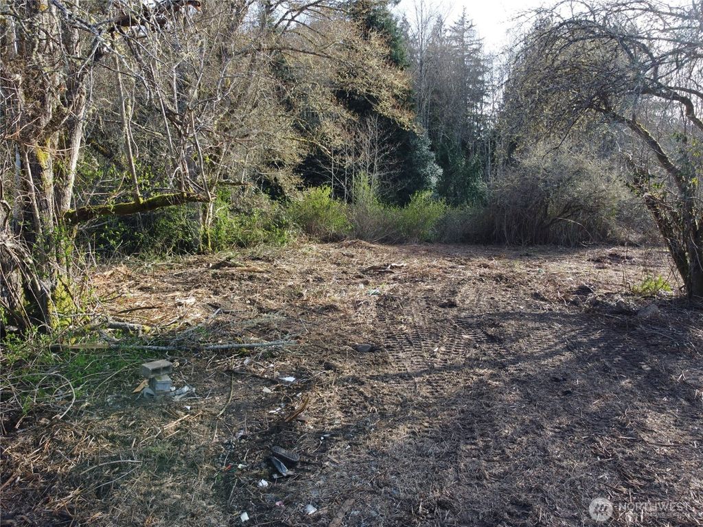 Photo of 0 xxx Embody Road, Port Ludlow, WA 98365 (MLS # 2503011)