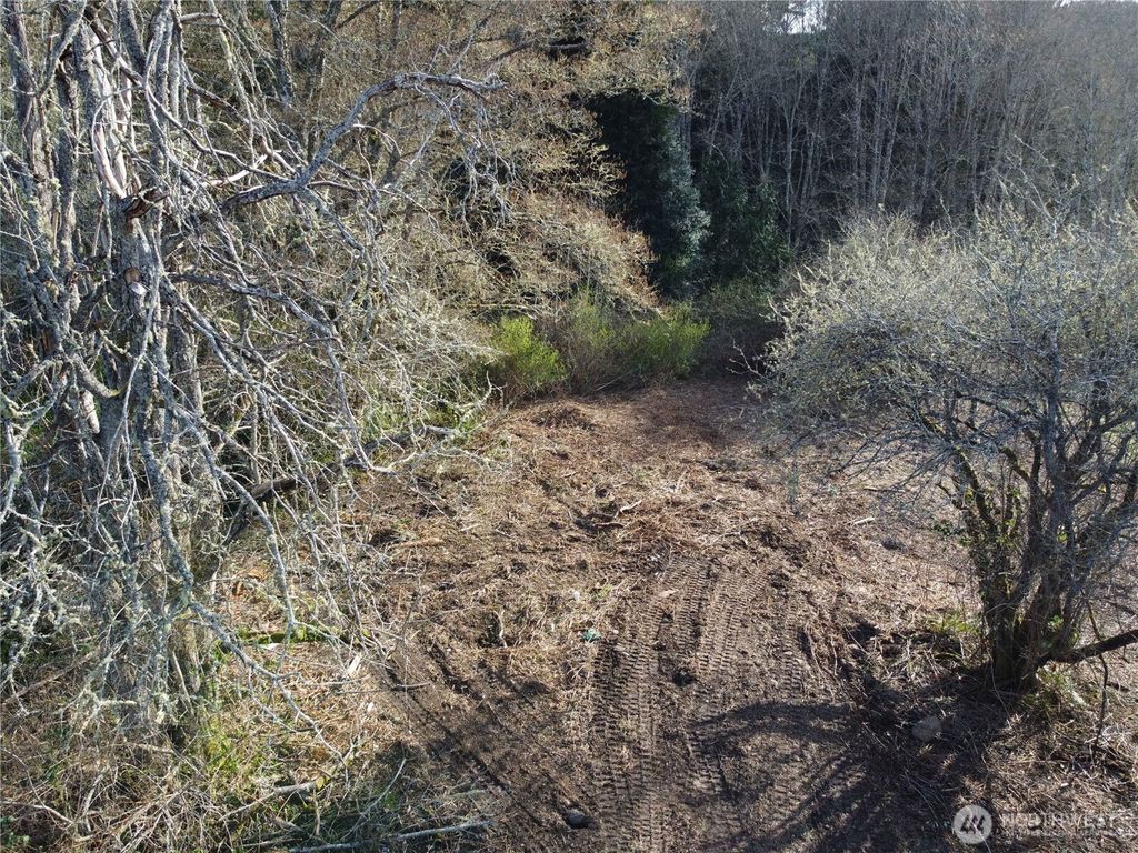 Photo of 0 xxx Embody Road, Port Ludlow, WA 98365 (MLS # 2503011)