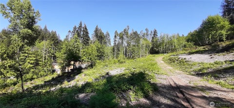 Photo of 261 NE WJ Way, Belfair, WA 98528 (MLS # 2521323)