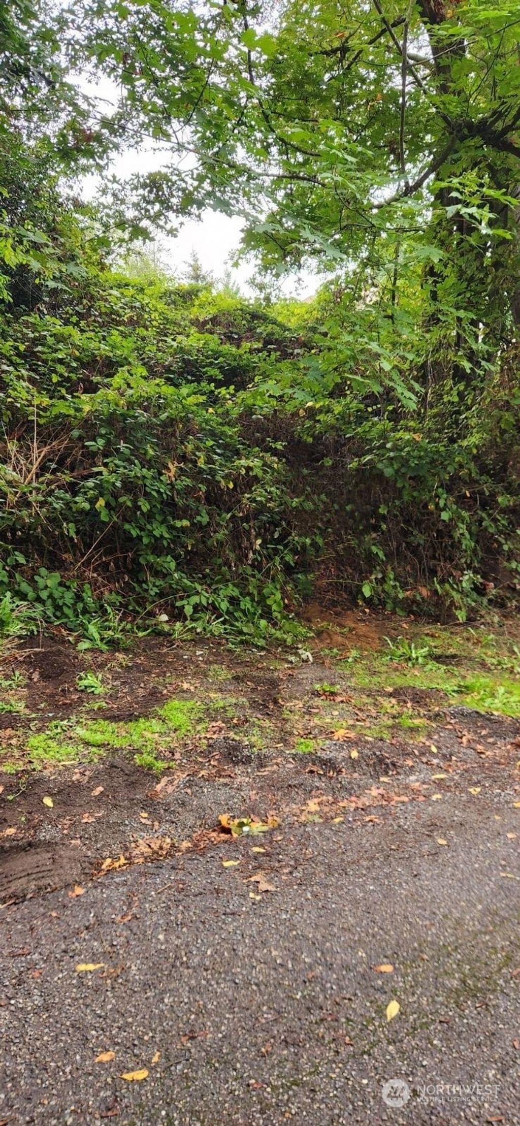 Photo of 3529 S Ronald Street, Seattle, WA 98118 (MLS # 2183602)