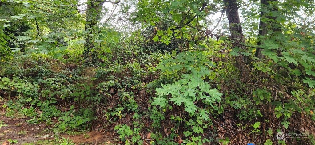 Photo of 3529 S Ronald Street, Seattle, WA 98118 (MLS # 2183602)