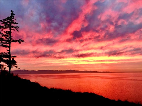 Photo of 2285 West Beach Road #C, Oak Harbor, WA 98277 (MLS # 2596280)
