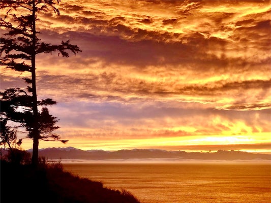 2285 W BEACH RD APT C, OAK HARBOR, WA 98277 - Image 3c41a7de26acd09aeee0bc0038abd484/899991973