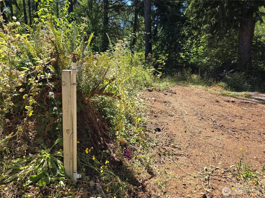 Photo of 351 W Haven Drive, Elma, WA 98541 (MLS # 2484120)