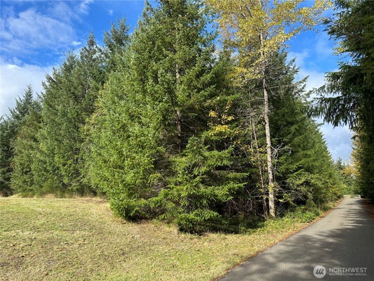 11109 SERRY LEE LN SW, OLYMPIA, WA 98512 - Image 3c60d22eadca47f4d96f2c5b447da551/3013223301