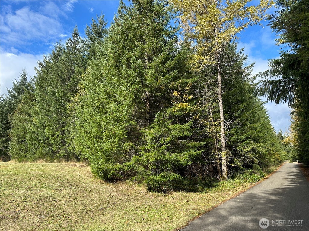 Photo of 11109 Serry Lee Lane SW, Olympia, WA 98512 (MLS # 2591614)