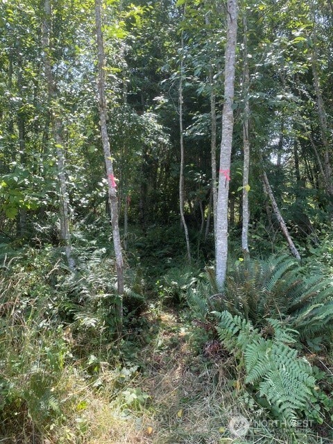 646 Tributary Lane
