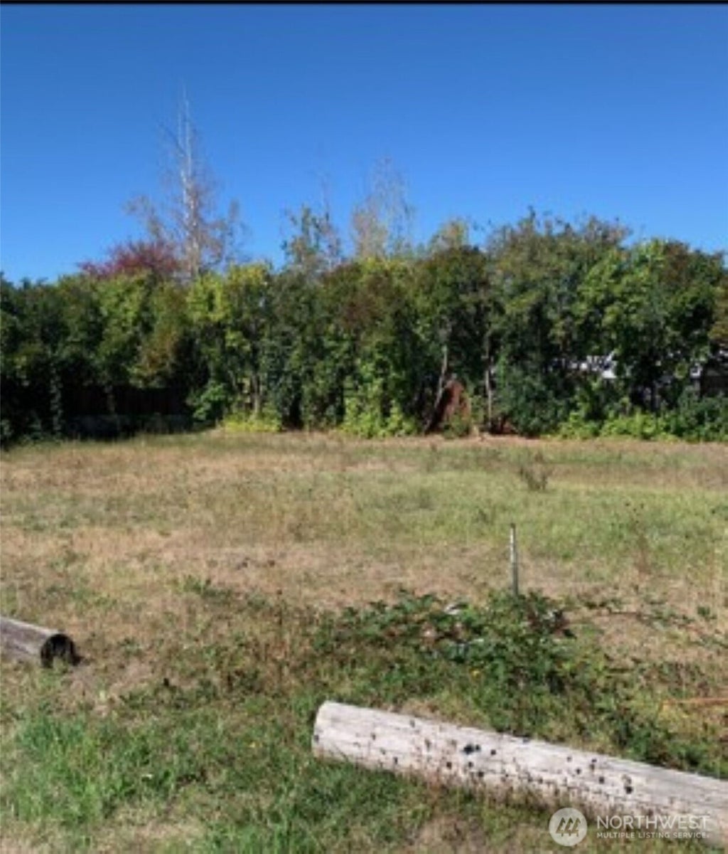 Photo of 1819 N Pearl ST, Centralia, WA 98531 (MLS # 2584161)