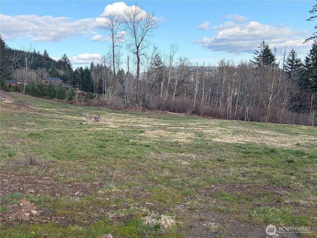 Photo of 277 Cornerstone Lane, Woodland, WA 98674 (MLS # 2487732)