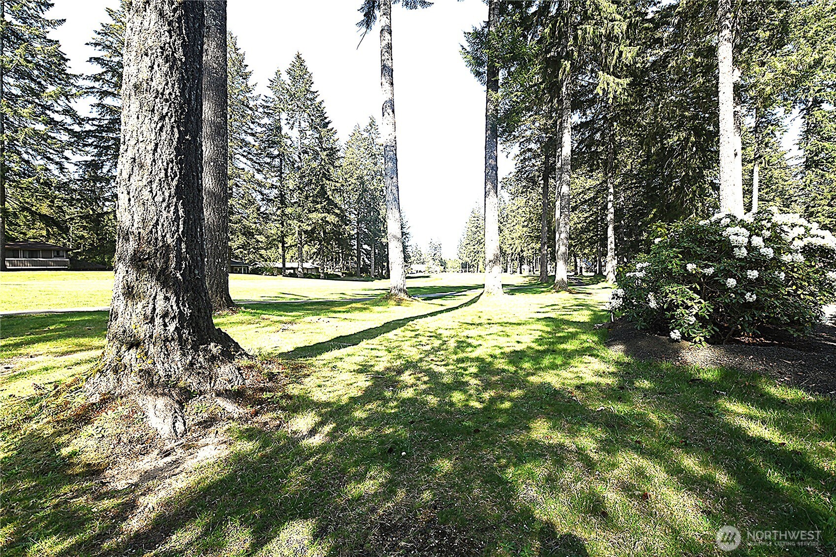 971 E Manzanita Drive