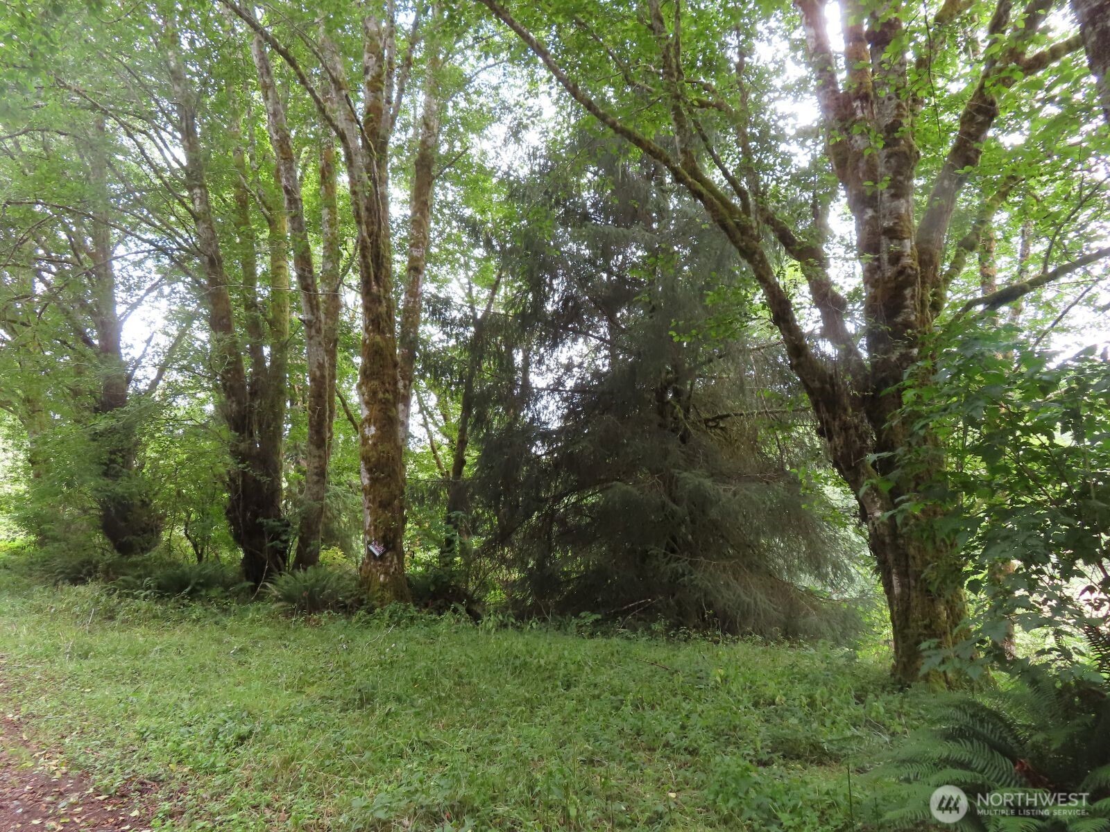 485 Upper Naselle Road