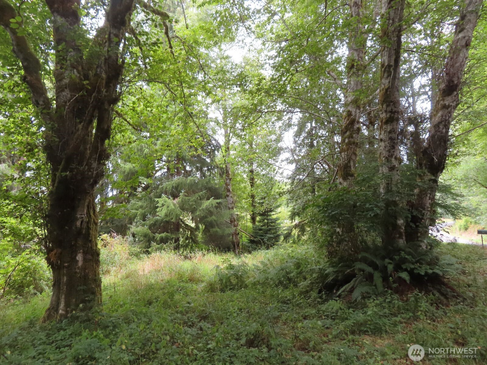 485 Upper Naselle Road