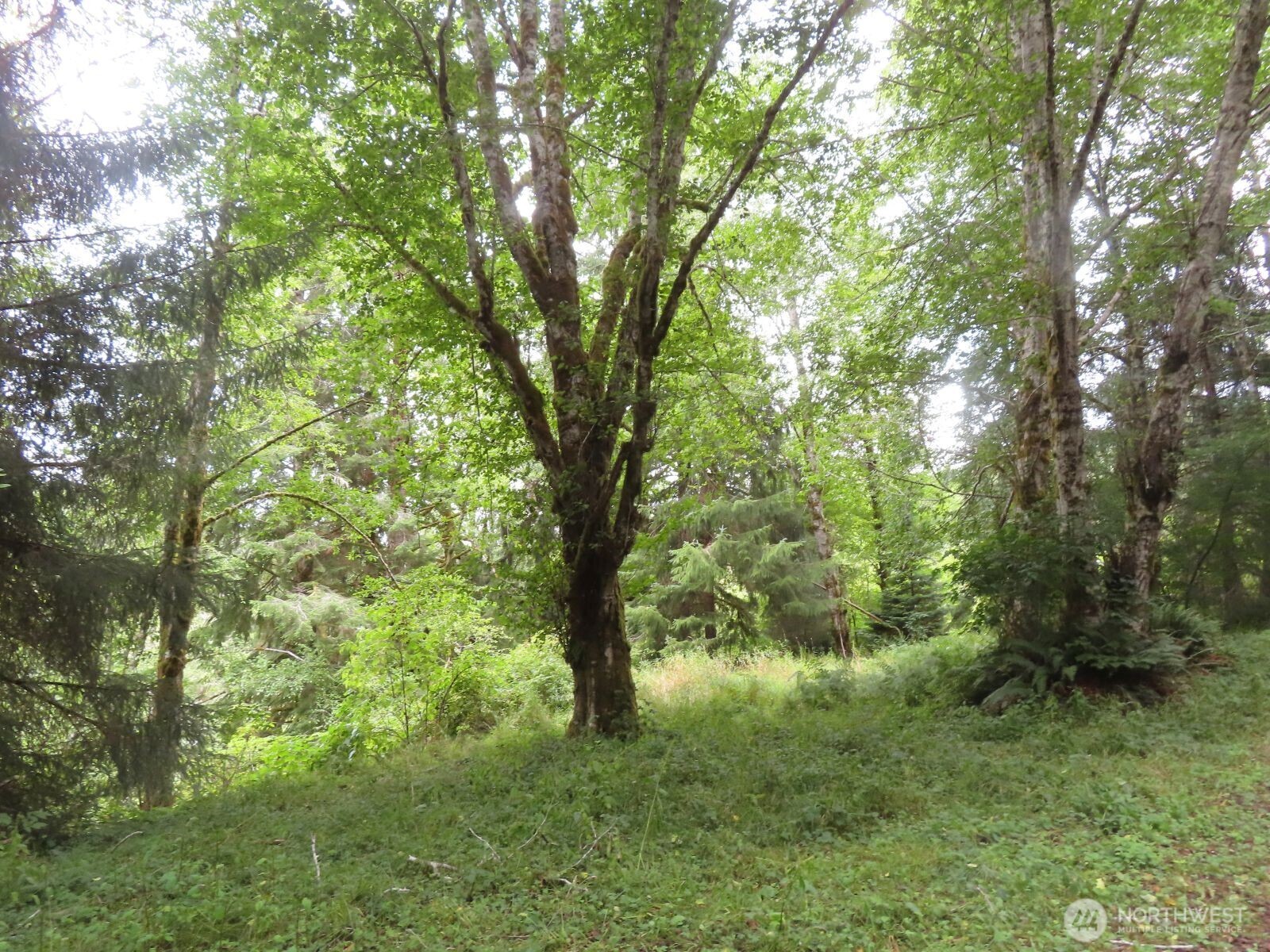 485 Upper Naselle Road