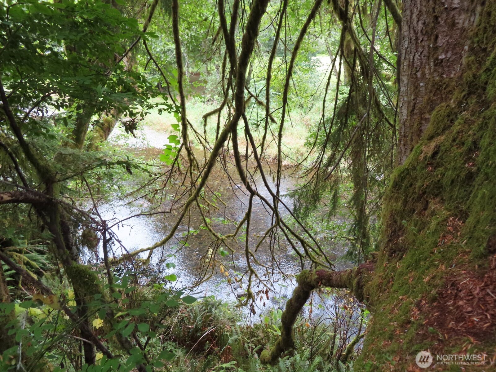 485 Upper Naselle Road