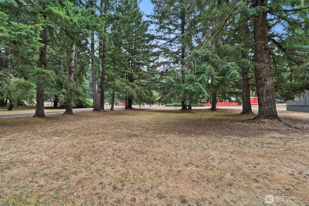 Photo of 19121 Elderberry Street SW, Rochester, WA 98579 (MLS # 2486307)