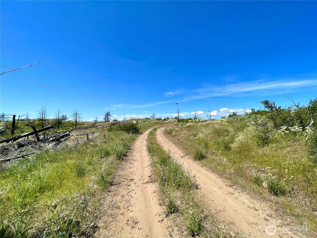 Photo of 0 TBD Madd Mtn Road, Okanogan, WA 98840 (MLS # 2491125)