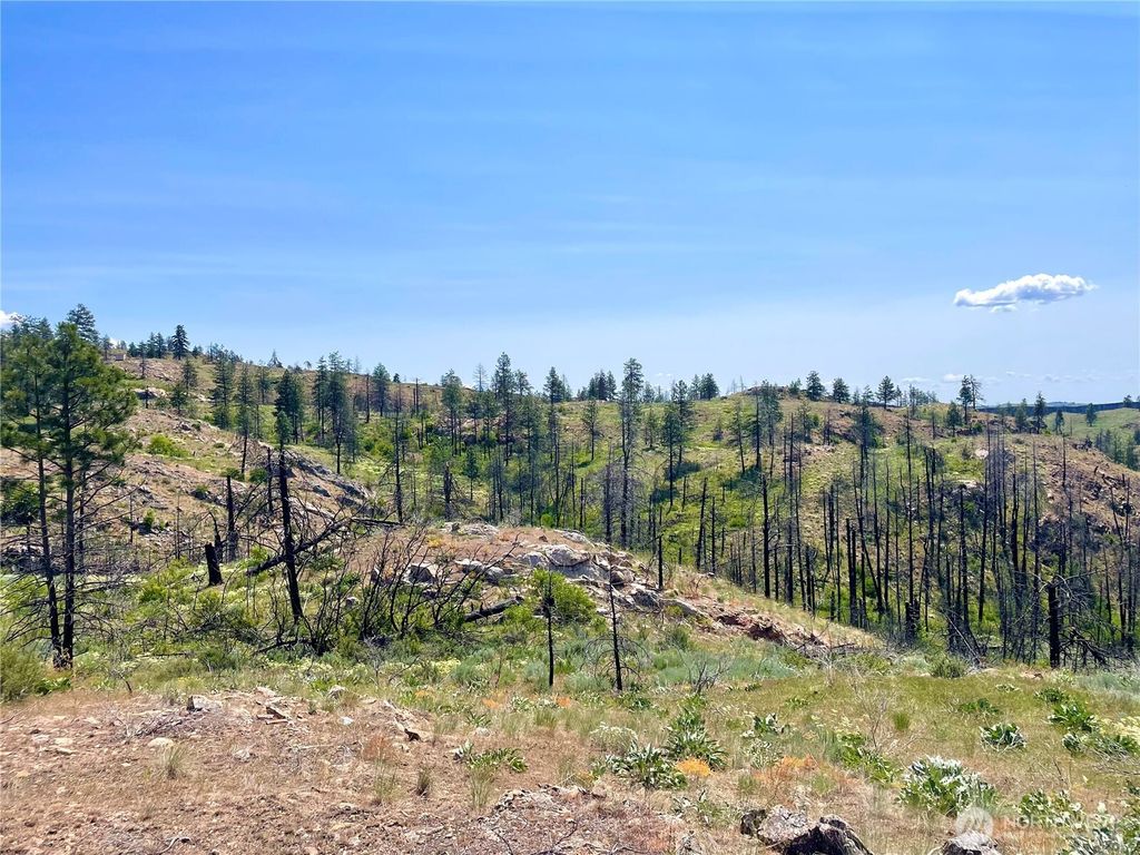 Photo of 0 TBD Madd Mtn Road, Okanogan, WA 98840 (MLS # 2491125)