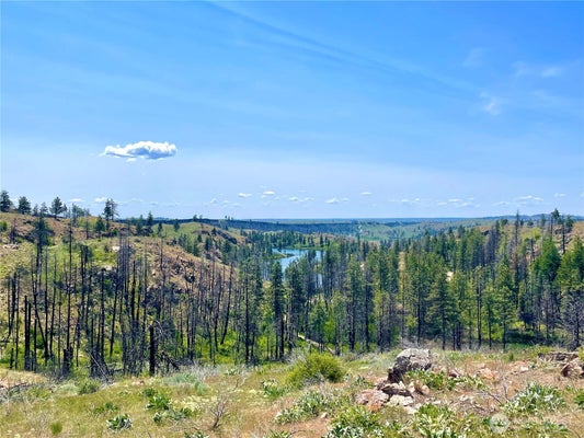 MADD MOUNTAIN RD, OKANOGAN, WA 98840 - Image 3d5a5d74aabb44e1249acf7b2c08875b/3529346002