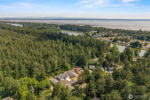 378 Eridani Loop SE Ocean Shores WA 98569