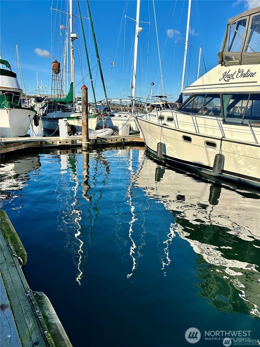 9540 Semiahmoo Parkway K9