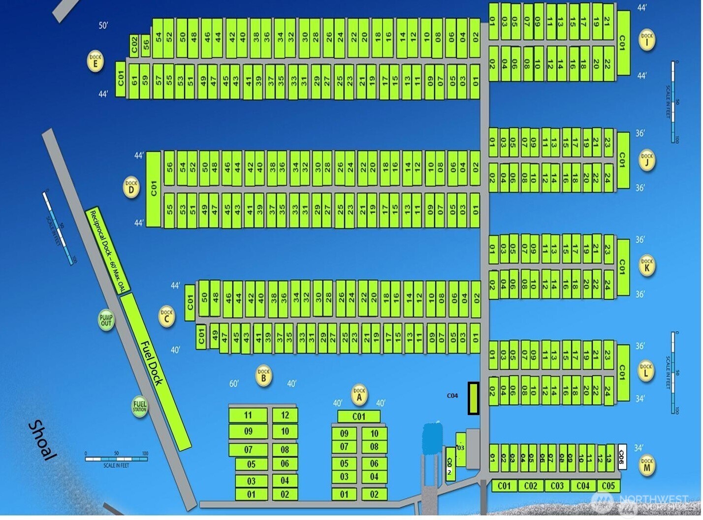 9540 Semiahmoo Parkway K9