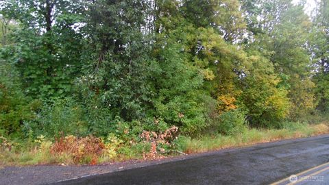 0 Viewridge Road Onalaska WA 98570
