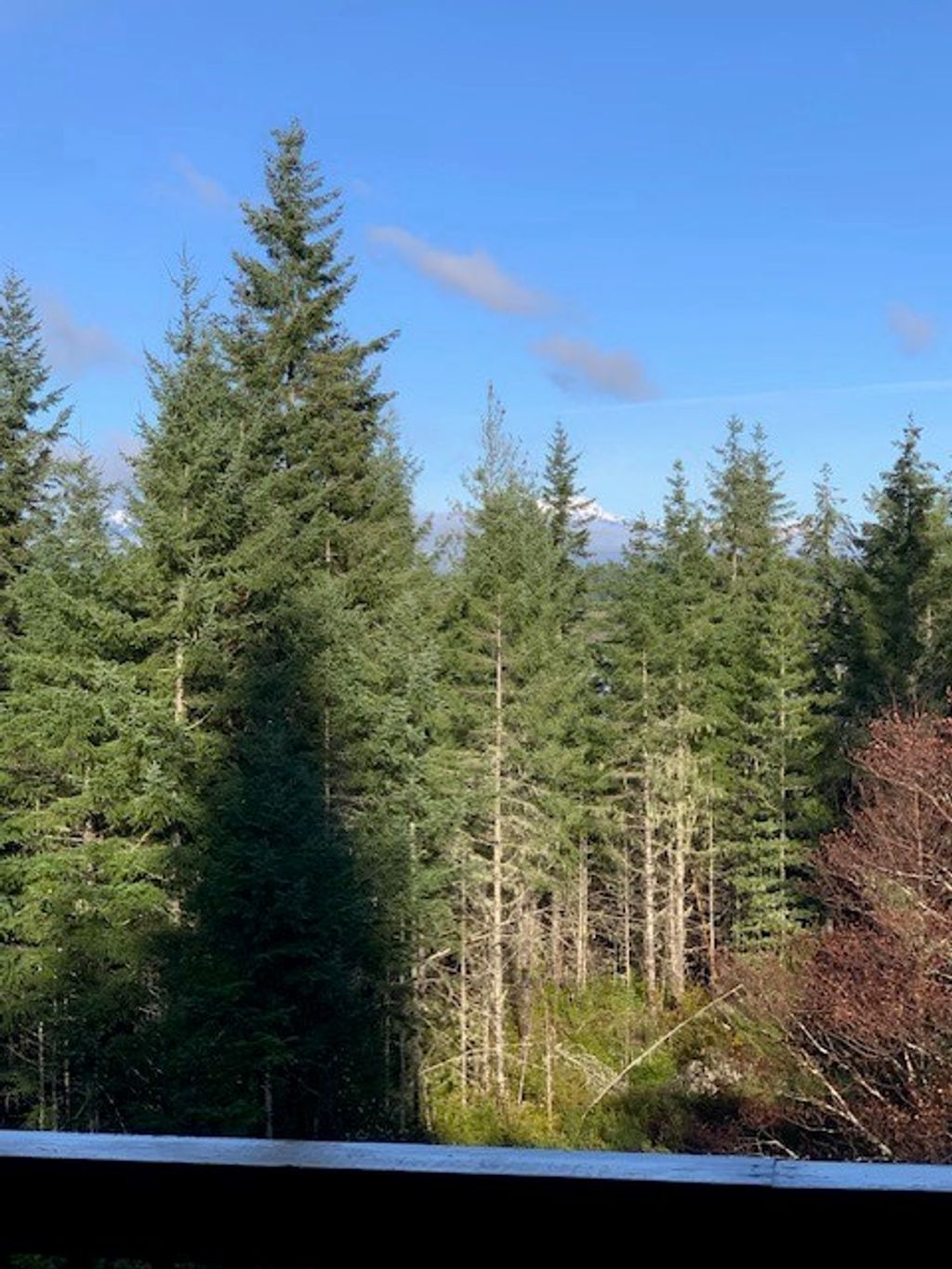 Photo of 62 Southridge Drive, Belfair, WA 98528 (MLS # 2460331)