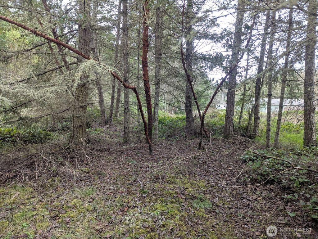 Photo of 0 Critter Country Trail, Sequim, WA 98382 (MLS # 2504171)
