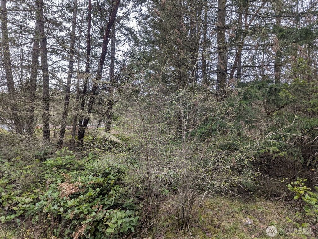 Photo of 0 Critter Country Trail, Sequim, WA 98382 (MLS # 2504171)