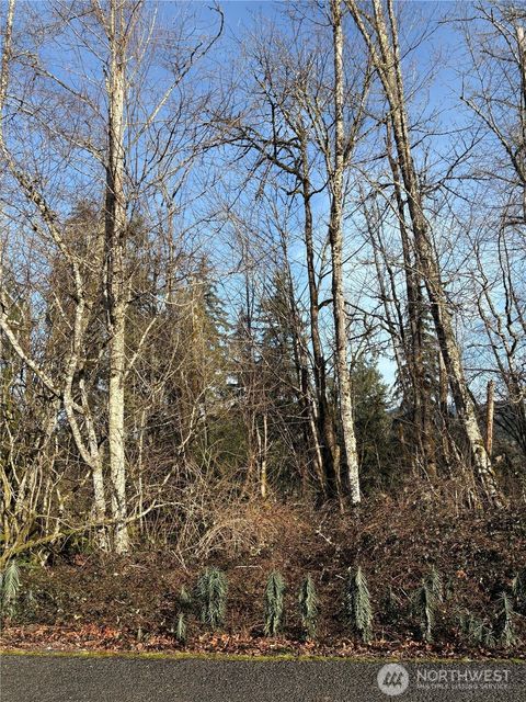 Photo of 128 Valley View Drive, Mossyrock, WA 98564 (MLS # 2477565)